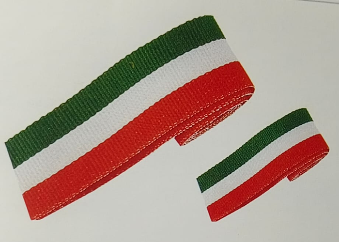 Ribbon Supplier in India